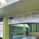 영동목장 | 강원도 평창 삼양 라운드힐 여행 후기｜목장 체험·포토 스팟·가족·커플 여행 필수 코스