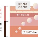 리벨로 스킨 앤 왁싱 이미지