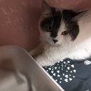 장산중학교 이미지