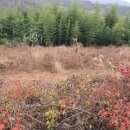 원남농장 이미지