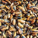 남해-300 이미지