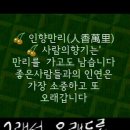 참행복약국 Daum카페