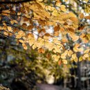 월배조은한의원 이미지