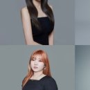 다오컨설팅