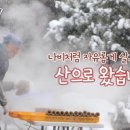 월인천강나비황차원 이미지