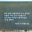 정도경「억새풀」 Daum카페