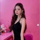 프리지아 이미지