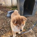 도고농장 이미지