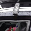 백산금빛캠프장 이미지