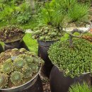 샘골농원 이미지