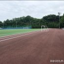 탄현체육공원 축구장 이미지