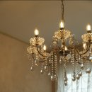 스테이마레 이미지