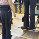 국제아이디어협회 | 🩰 IEIA 국제운동지도자협회 바레 자격증 후기