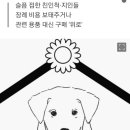 반려동물 숨져도 '부의금'.."가족이니까요" 이미지