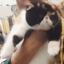 슈가그린헤어