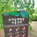 파주) 운정호수공원 운정유아숲체험원 파주숲놀이터 주차