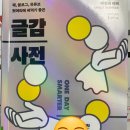 황제잠수정 | (서평) 책, 블로그, 유튜브 첫머리에 써먹기 좋은 글감사전 _에밀리 윈터