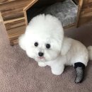 크림 하우스 성수
