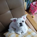 화남(아) 이미지