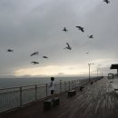 솔찬공원(주차장) 이미지