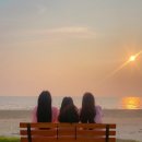 그녀의 바다 이미지