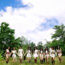 지방 부수리 이미지