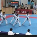 고려K타이거즈 이미지