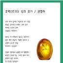 호박(琥珀) 속의 모기 / 권영하 [2012 신춘문예 당선작] 이미지