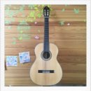 왕초보 클래식기타 이미지