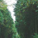 아우어모먼트 이미지