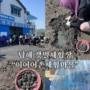 득량만 어촌체험 민박 | 남해 아이랑 가볼만한곳 '이어어촌체험마을' 갯벌체험 예약방법 및 솔직후기