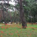 동호숲화장실 이미지