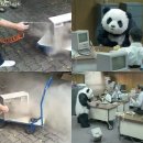 판다PC 이미지