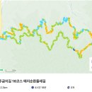 원주굽이길 16코스 매지순환둘레길 | 2025.03.08 원주굽이길 16코스