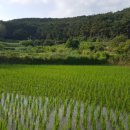 푸드패밀리 이미지