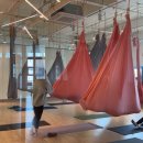 유성충전소 | 대전 유성구 필라테스 추천! 스텔라 요가&amp;필라테스 죽동점 후기 ☀️