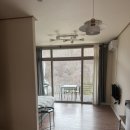 미리내 | 가평 계곡 펜션 추천 ㅣ 개별 테라스 바베큐펜션 + 고양이 천국 강씨봉미리내펜션 후기