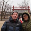 꽃순이네 이미지