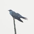 낙동강변24 이미지