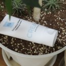 Amimong(아미몽) 이미지