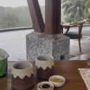 에그드랍 수영점 | 우붓 신상 리조트 아비세나 웰니스 리조트 정글 느낌 물씬 수영장 예쁜 숙소 솔직후기