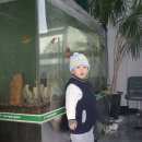 일컴 이미지