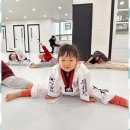 늘푸른 태권도장 이미지