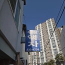 우림액자