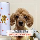 나밍밍 강아지네 | 강아지 고양이 주문제작 텀블러 추천 이냥저냥 공방 주문제작 텀블러 하나밖에 없는 나만의 반려견 굿즈