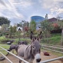 미호박물관 이미지