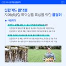 신한종합상사 이미지