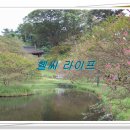 호정투어 이미지