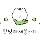 환승바디 이미지