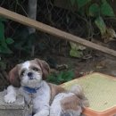 삼일카센타 이미지